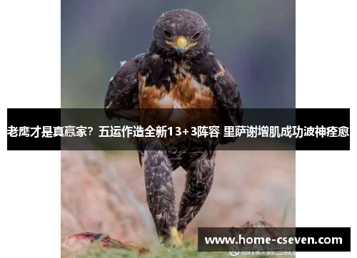 老鹰才是真赢家？五运作造全新13+3阵容 里萨谢增肌成功波神痊愈